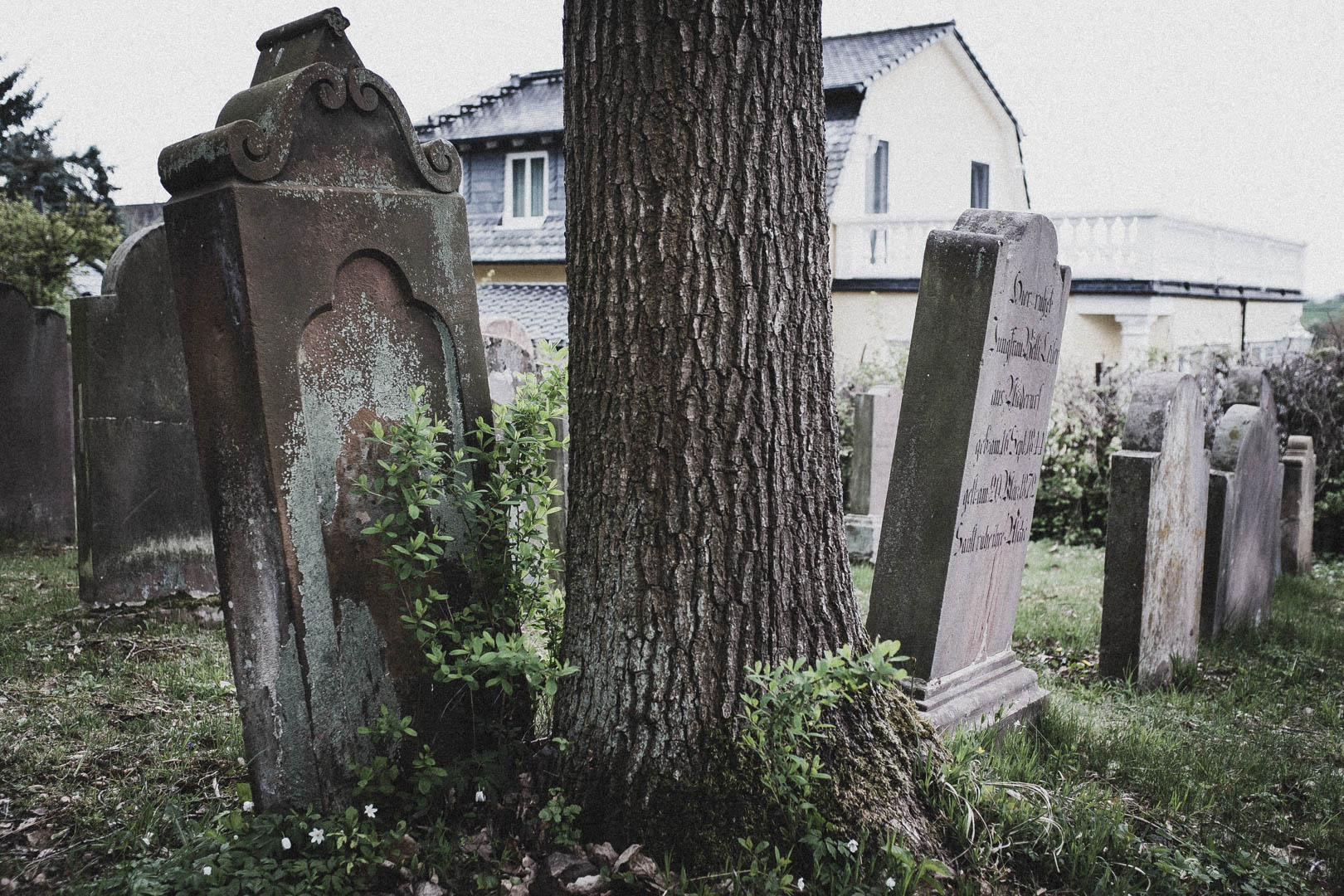Bad Zwesten, Jüdischer Friedhof